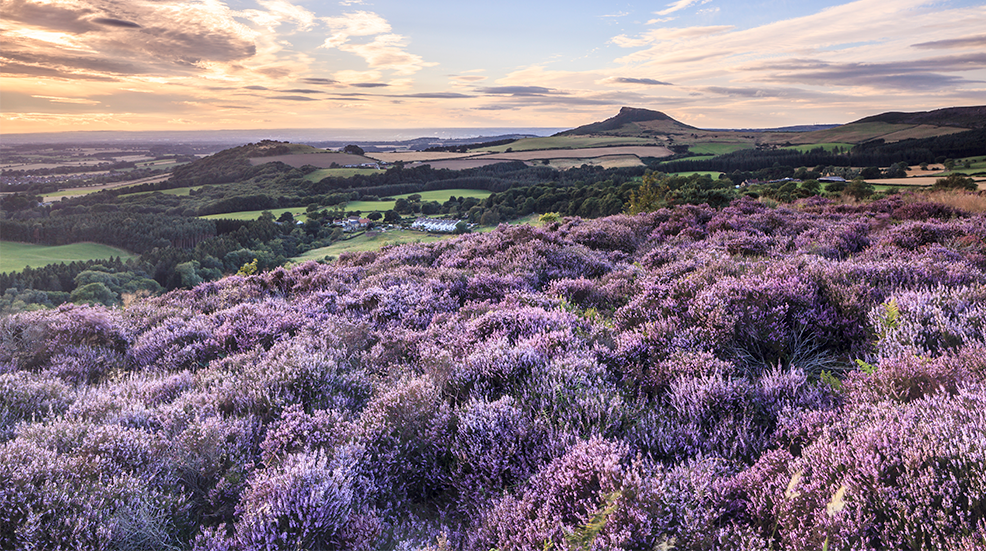 Roseberry Topping in the North York Moors